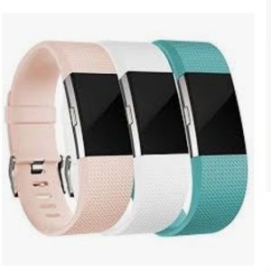 Fitbit charge 2 bands